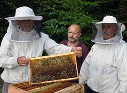 Kilosu 100 liradan çok rahat satılıyor