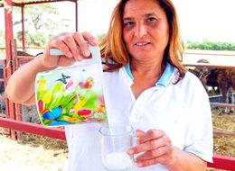 Eşek sütü satıyor, talebe yetişemiyor