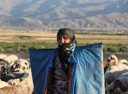 4 bin TL ücretle çoban aranıyor