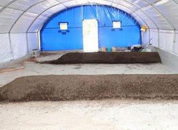 ABD'den 400 bin tane getirip, üretime geçtiler