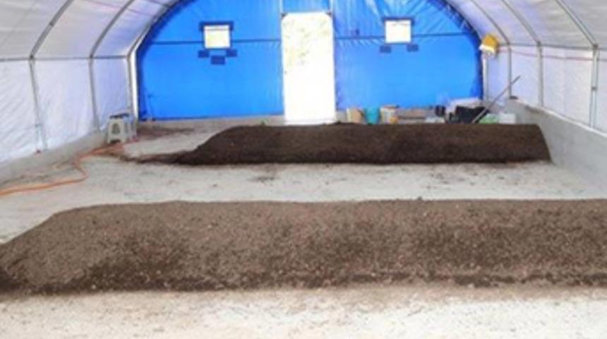 ABD'den 400 bin tane getirip, üretime geçtiler