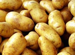 İzin çıktı, Suriye ile ihracat başladı