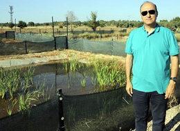 Profesör, Fransa'ya kurbağa satacak