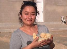 Oxford'lu kadın girişimci tavuk çiftliği kurdu