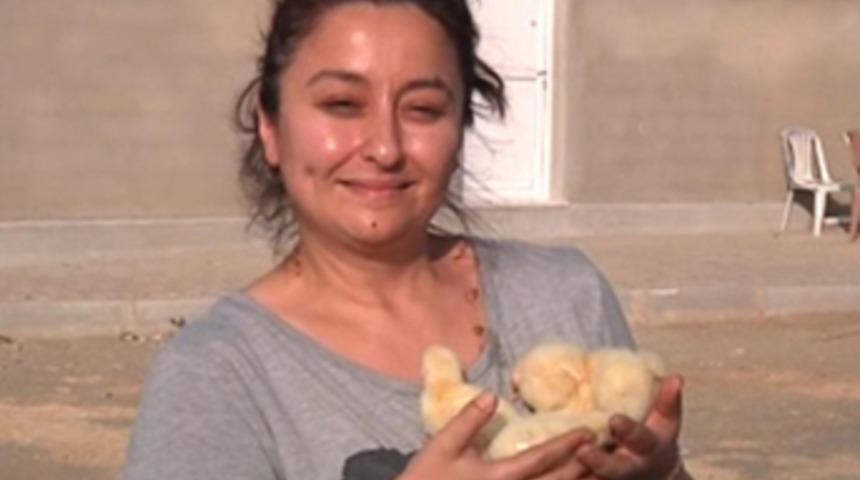 Oxford'lu kadın girişimci tavuk çiftliği kurdu