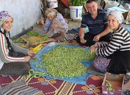 Kurutulmuş bamyanın fiyatı altınla yarışıyor