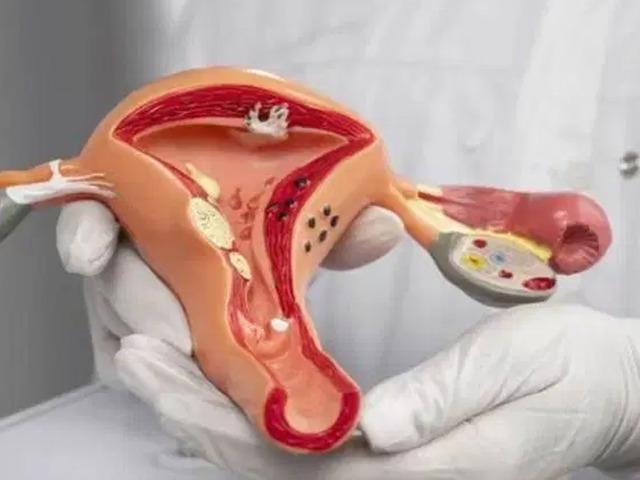 HPV aşısı serviks kanserinden koruyor