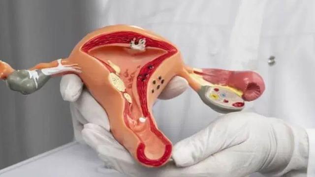 HPV aşısı serviks kanserinden koruyor