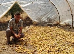 Aylık 5 bin TL maaşla işçi bulamıyorlar