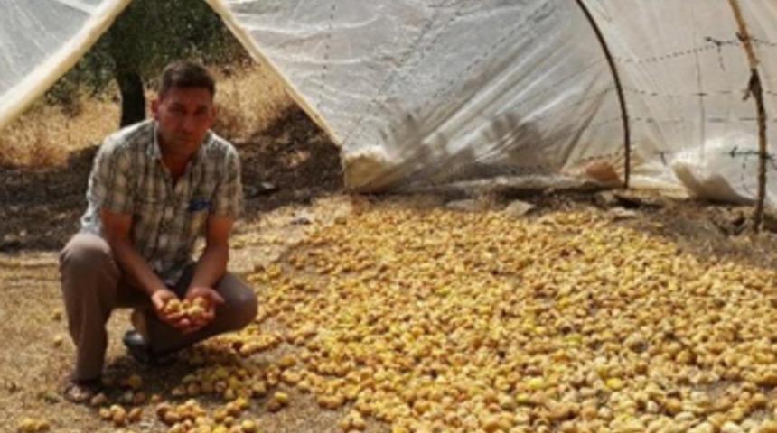 Aylık 5 bin TL maaşla işçi bulamıyorlar