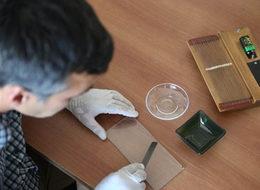 Arı zehrinin gramı 500 TL'ye satılıyor