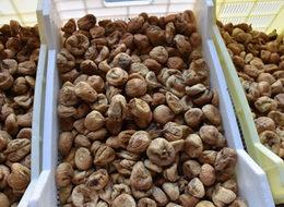 10 yıldır böylesi görülmedi