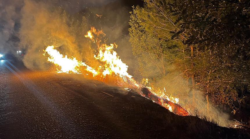 Adana'da yol kenarında &ccedil;ıkan yangın, ormana sı&ccedil;radı