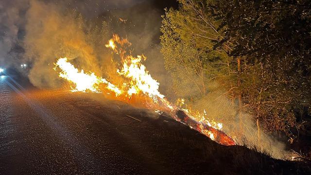 Adana'da yol kenarında çıkan yangın, ormana sıçradı