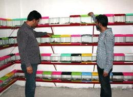 Şanlıurfa'da akrep tesisi kuran kardeşler, devlet desteği istiyor