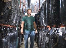 İşçiliği bırakıp mantar üreticisi oldu
