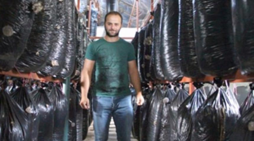 İşçiliği bırakıp mantar üreticisi oldu