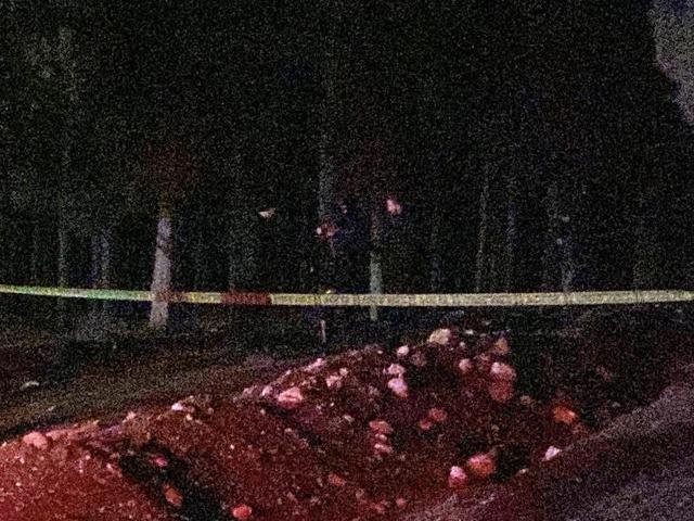 Kayıp olarak aranan şahıs ormanda &ouml;l&uuml; bulundu