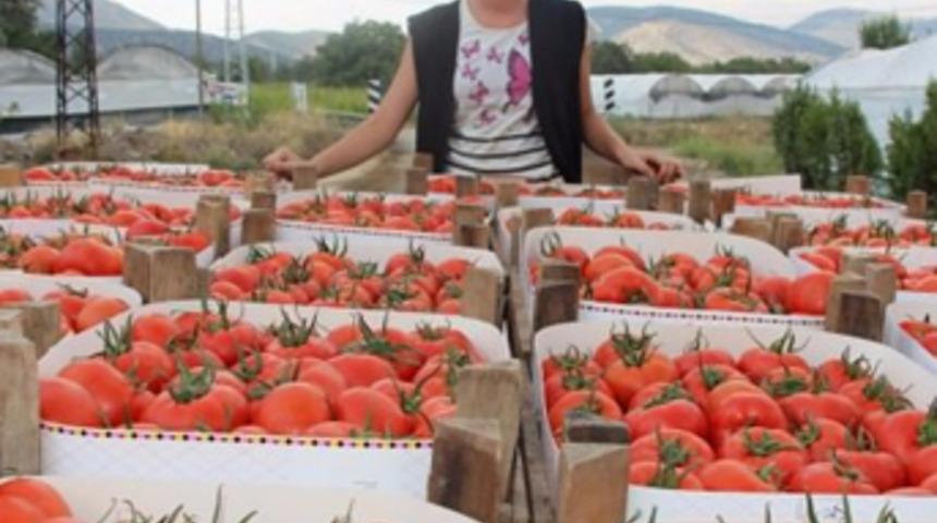 Türkiye'nin para basan köyü