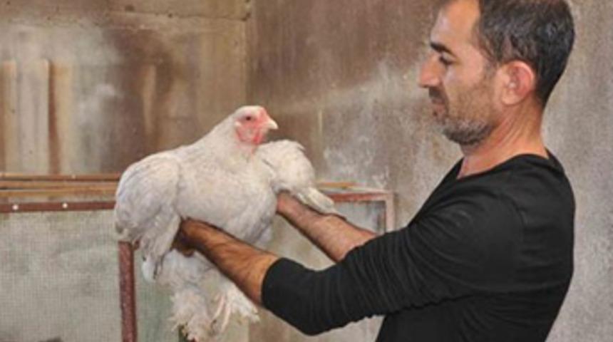 Hobi olarak başladı, tanesini 2 bin TL'den satıyor