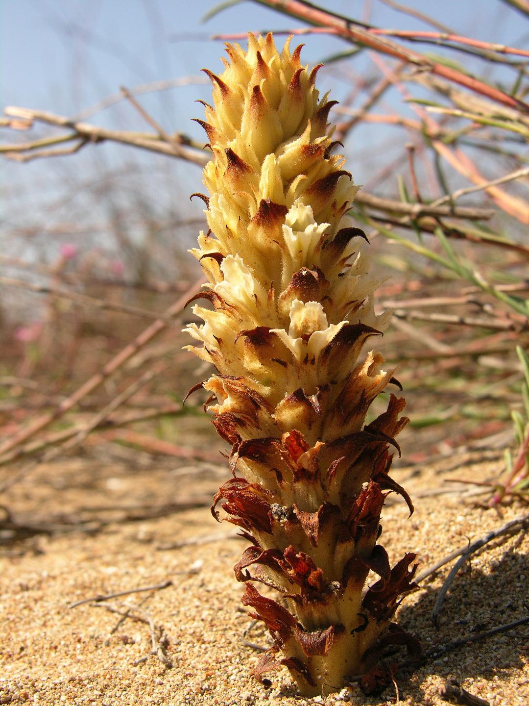 Yapan 699 bin TL &ouml;d&uuml;yor  Niyetin iyi olması cezayı ortadan kaldırmaz  5