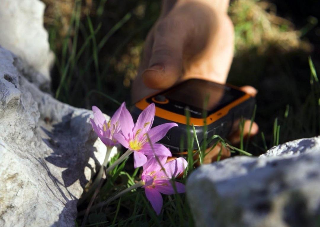 Yapan 699 bin TL &ouml;d&uuml;yor  Niyetin iyi olması cezayı ortadan kaldırmaz  4