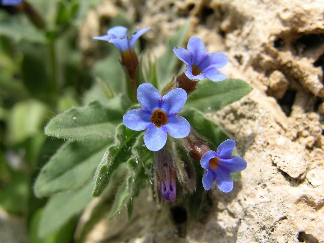 Yapan 699 bin TL &ouml;d&uuml;yor  Niyetin iyi olması cezayı ortadan kaldırmaz  3