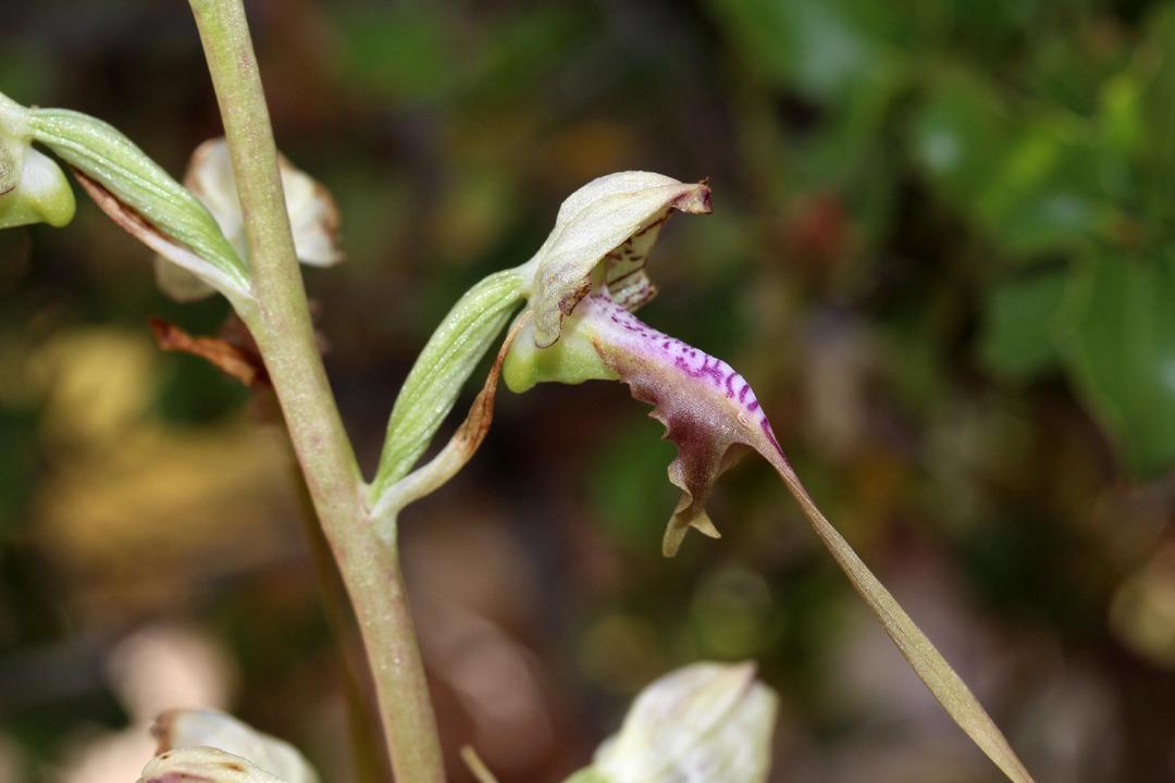Yapan 699 bin TL &ouml;d&uuml;yor  Niyetin iyi olması cezayı ortadan kaldırmaz  2