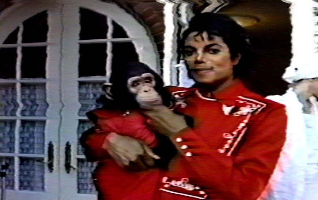 Michael Jackson&rsquo;ın şempanzesi Bubbles şimdi ne yapıyor? Partiden partiye geziyordu 1