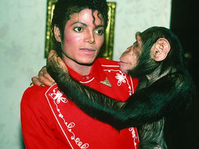 Partiden partiye geziyordu! Artık 43 yaşında ve...