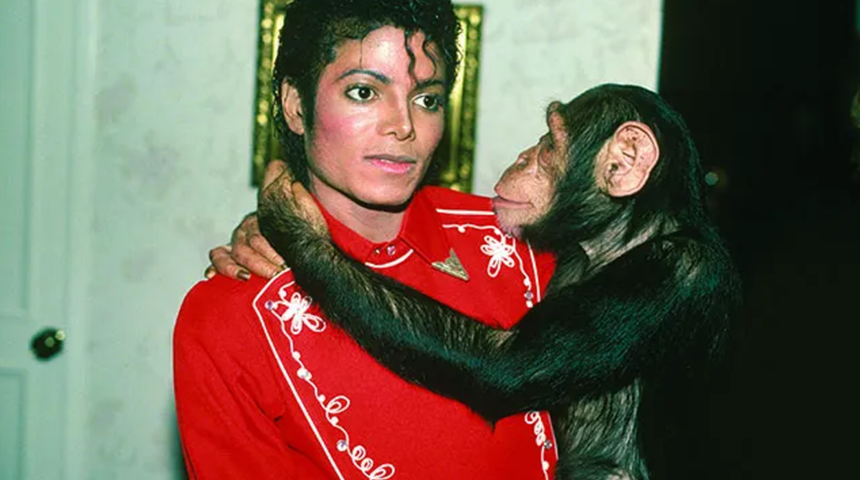 Michael Jackson&rsquo;ın şempanzesi Bubbles şimdi ne yapıyor? Partiden partiye geziyordu