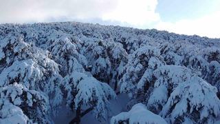 Türkiye’nin ilk Milli Parkı Çamlık’ta kar manzarası havadan görüntülendi
