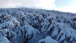 T&uuml;rkiye&rsquo;nin ilk Milli Parkı &Ccedil;amlık&rsquo;ta kar manzarası havadan g&ouml;r&uuml;nt&uuml;lendi
