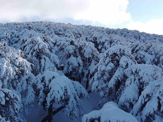 T&uuml;rkiye&rsquo;nin ilk Milli Parkı &Ccedil;amlık&rsquo;ta kar manzarası havadan g&ouml;r&uuml;nt&uuml;lendi