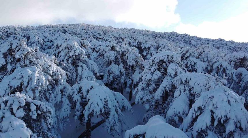 T&uuml;rkiye&rsquo;nin ilk Milli Parkı &Ccedil;amlık&rsquo;ta kar manzarası havadan g&ouml;r&uuml;nt&uuml;lendi