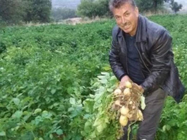 Türkiye'nin ilk beyaz patates hasadı yapılacak