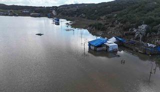 Hatay'dan g&uuml;zel haber! Bereketin simgesi umut verdi