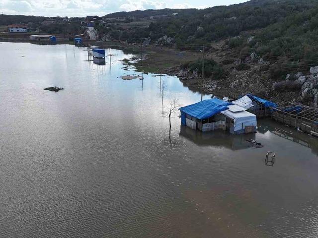 Hatay'dan g&uuml;zel haber! Bereketin simgesi umut verdi