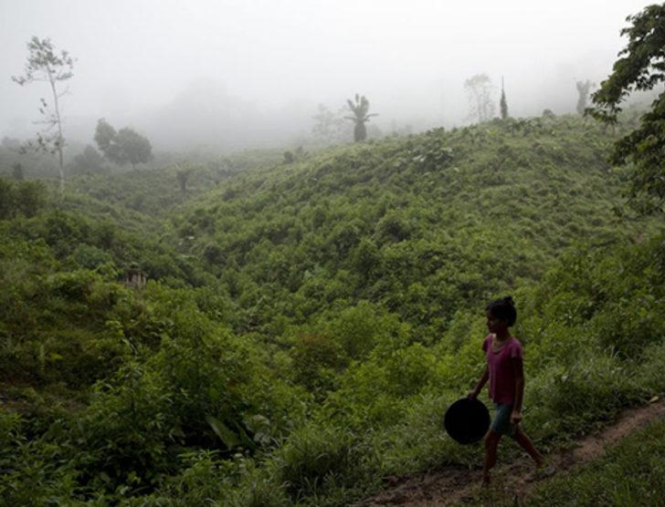 Çikolata yemek 2050'de zenginlerin bir ayrıcalığı olacak G2