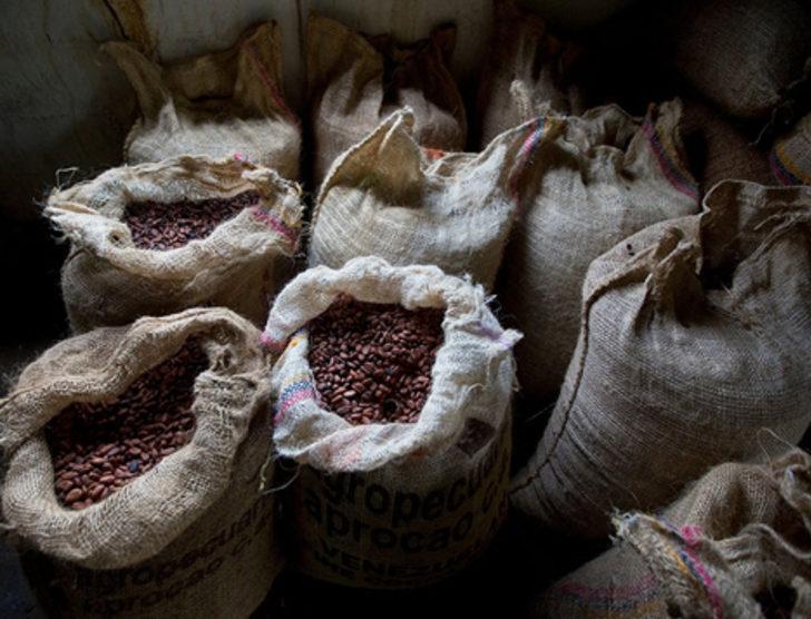 Çikolata yemek 2050'de zenginlerin bir ayrıcalığı olacak G4