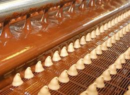 Çikolata yemek 2050'de zenginlerin bir ayrıcalığı olacak