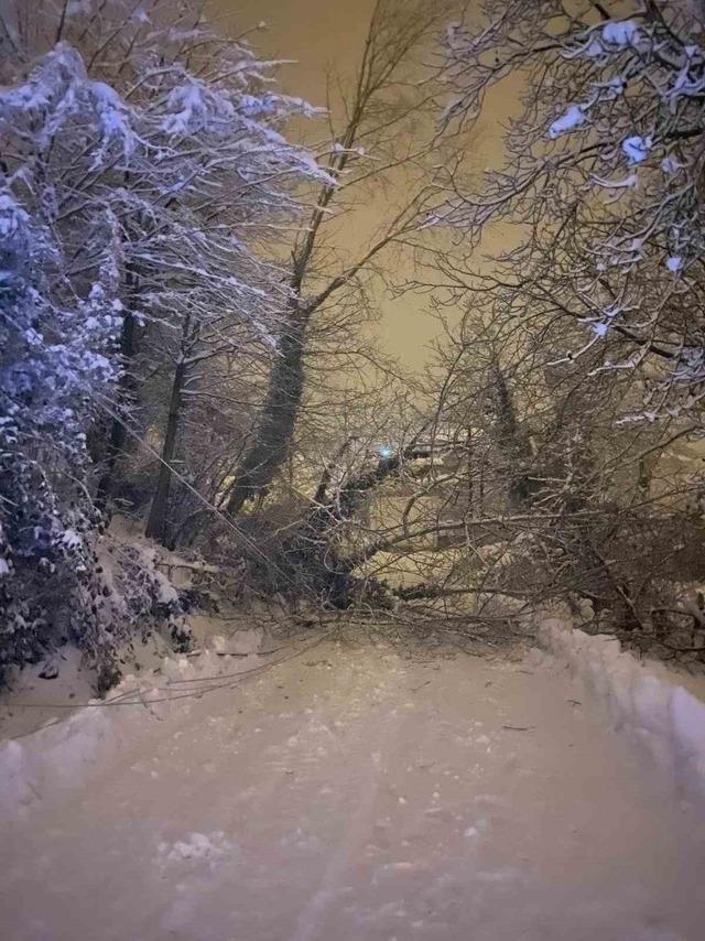 Sinop&rsquo;ta kar esareti: K&ouml;ylerin yarısı ulaşıma kapalı, 87 k&ouml;yde elektrik yok 1