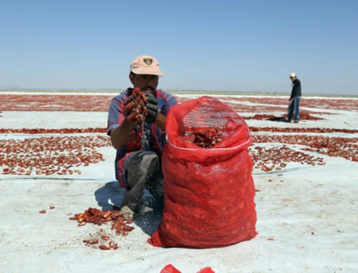 Kurutulan Türk domatesleri Avrupa mutfağında G1