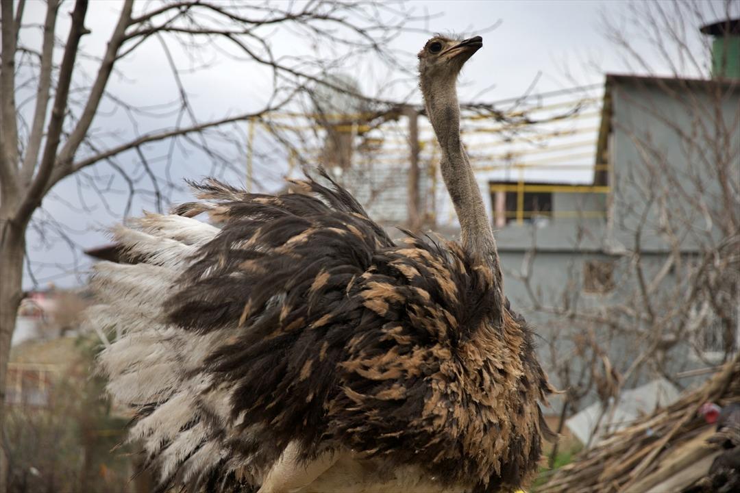 Başta istemedi: Arkadaşının hediyesi ona yeni bir mesleğin kapısını a&ccedil;tı 2