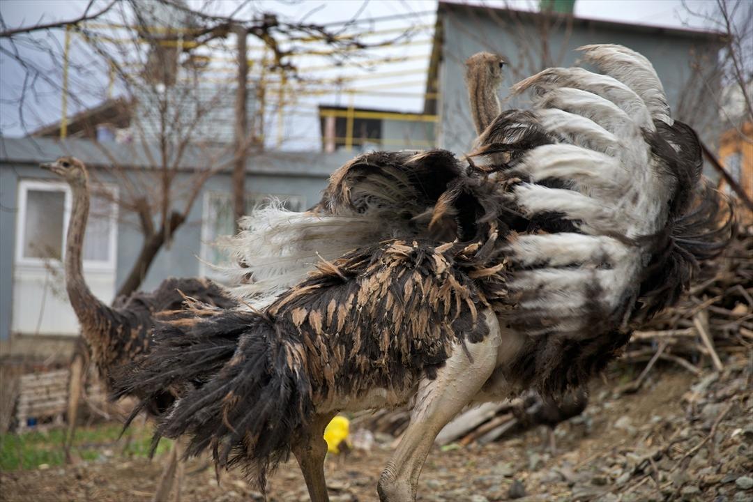 Başta istemedi: Arkadaşının hediyesi ona yeni bir mesleğin kapısını a&ccedil;tı 3