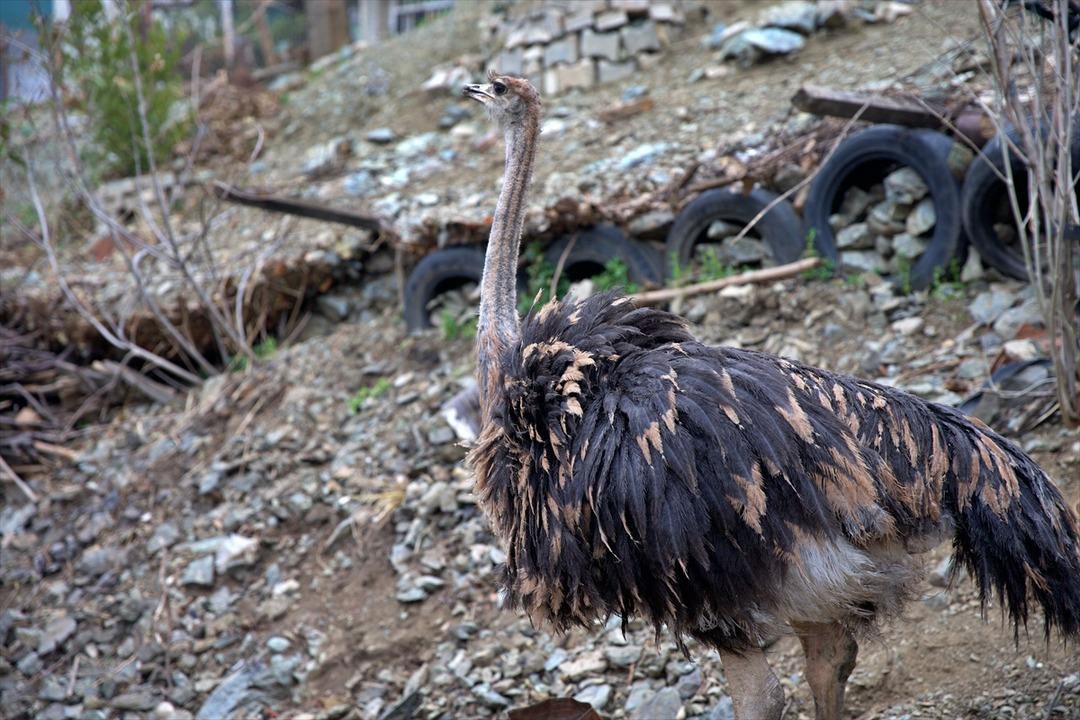 Başta istemedi: Arkadaşının hediyesi ona yeni bir mesleğin kapısını a&ccedil;tı 4