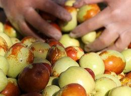 Rüyada gördü, Türkiye’nin en büyüğünü kurdu