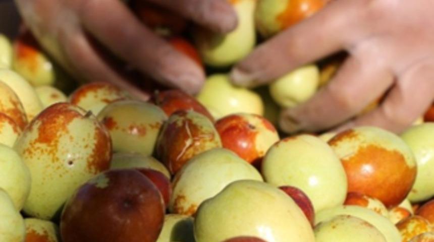 Rüyada gördü, Türkiye’nin en büyüğünü kurdu