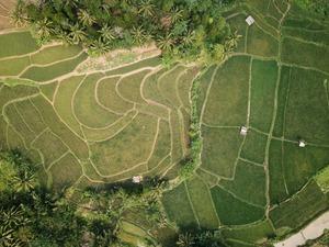 Binlerce vatandaşa tapu m&uuml;jdesi: 2B arazileri i&ccedil;in ek s&uuml;re geliyor!