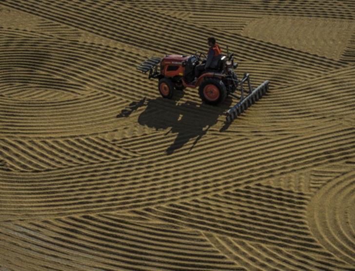 Güneydoğu bulguru 88 ülkeye satıldı G2